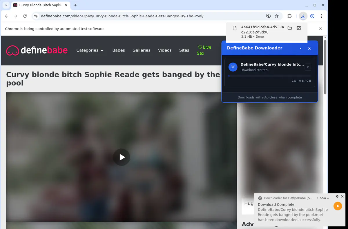 Definebabe Video Downloader screenshot 2