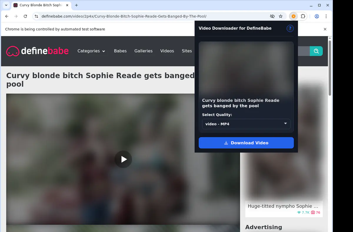 Definebabe Video Downloader screenshot 3